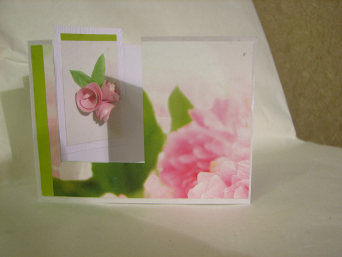 IMG_0422 (700x525, 369Kb)