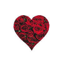 bccddec1bc7b8e9697bf2e45ff73a655 (200x200, 85Kb)