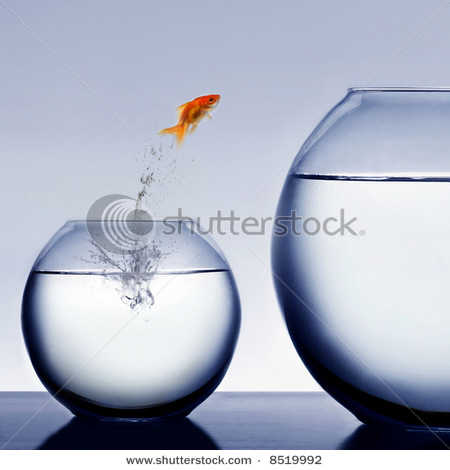 stock-photo-goldfish-jumping-out-of-the-water-8519992 (450x470, 45Kb)