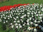  IMG_5947 (700x525, 485Kb)