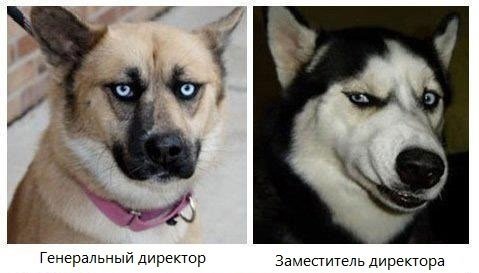 1 (479x273, 26Kb)