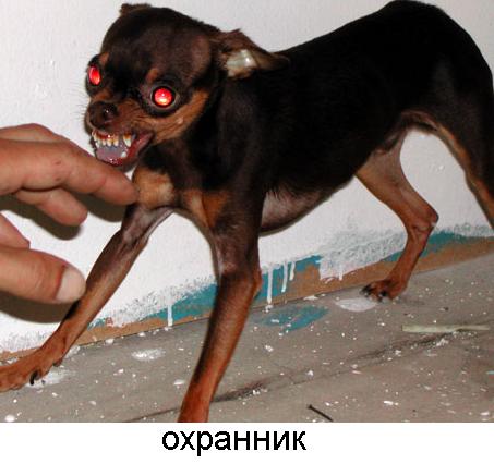 13ohrana (453x426, 29Kb)
