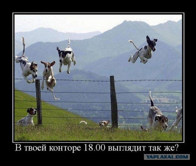 17posle raboty (640x540, 64Kb)