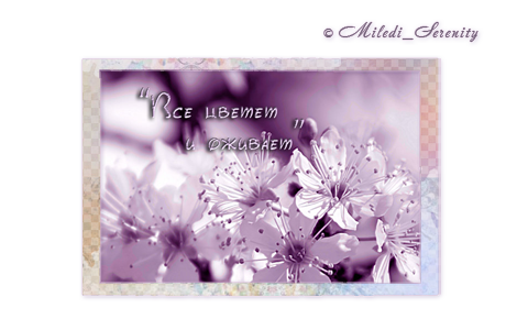 Preview_spring (470x300, 160Kb)
