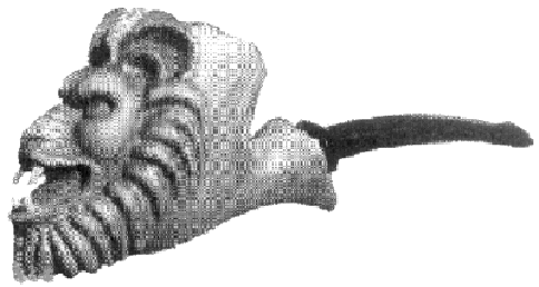 c76a4e1e_Lion (484x258, 40Kb)