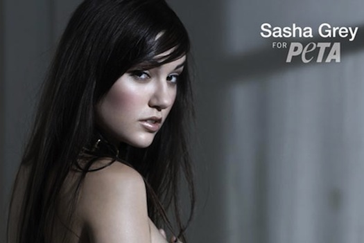 Sasha_Grey_9 (525x351, 32Kb)