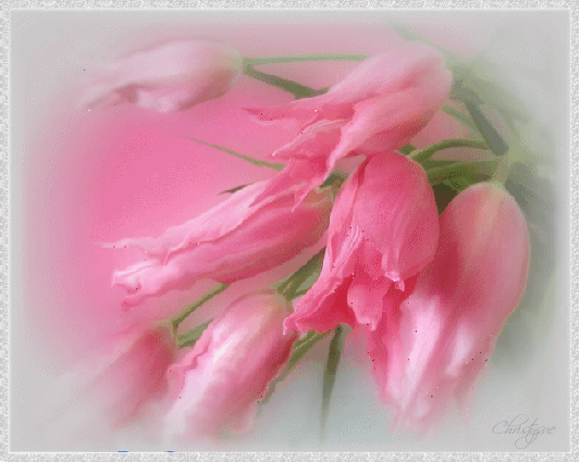 ImagePreview.aspx (533x425, 397Kb)