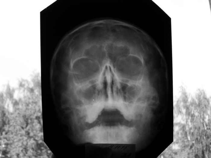 SDC19096 (700x525, 33Kb)