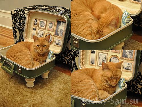 Спальное место для кошки своими руками пошаговая инструкция фото