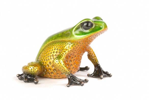 Frog_15 (585x392, 24Kb)