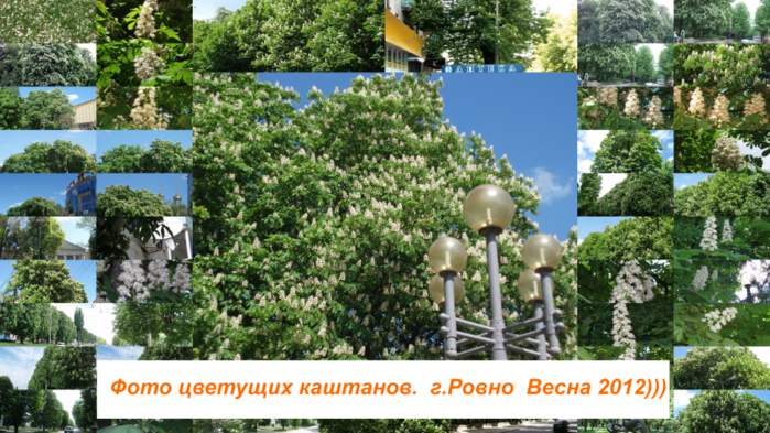  2012 (700x393, 625Kb)