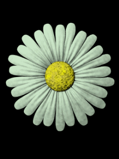 361448738 (240x320, 96Kb)