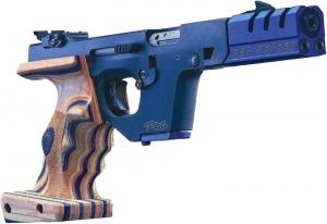 300px-Walther_gsp_expert (300x206, 21Kb)