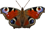 c0c534fda4e3487c1e3b6d102302b621 (154x100, 68Kb)