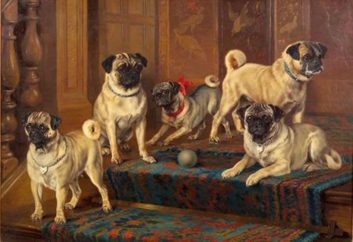 2795685_The_Swarland_Pugs (700x480, 53Kb)