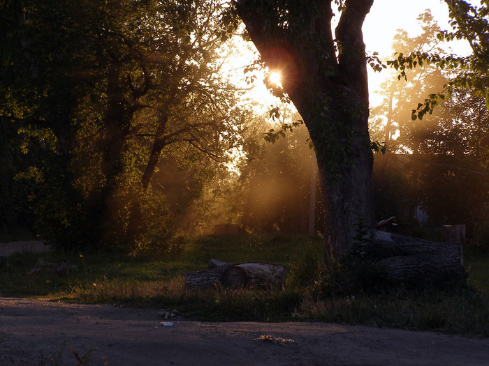 P6239363 (700x525, 156Kb)