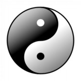 yin-yang_17-1105061435 (160x160, 5Kb)