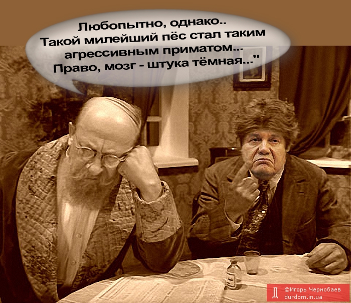 Шариков и профессор преображенский фото