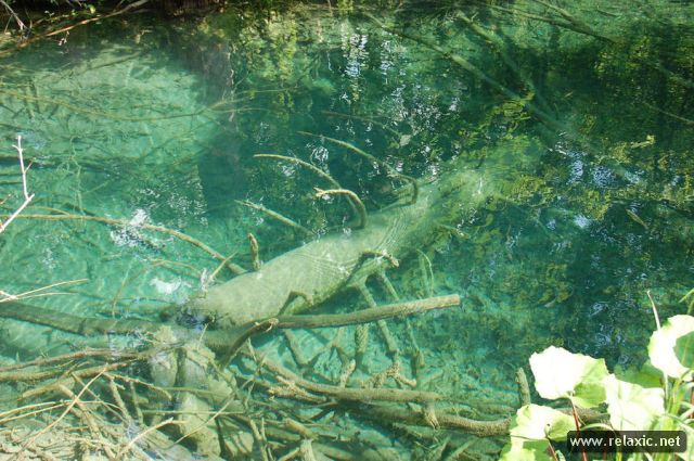 Plitvice-Lakes_024 (640x425, 76Kb)