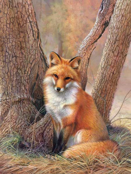 0060-red-fox (451x600, 47Kb)