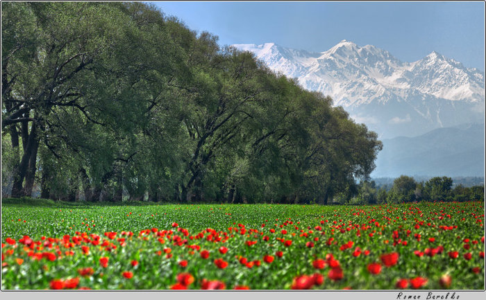 25213034_1439934 (700x433, 118Kb)