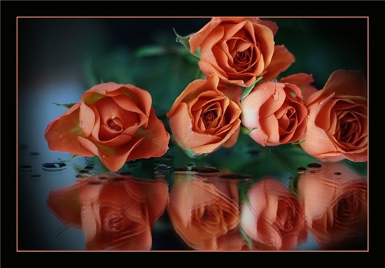 0a929e9ba604 (550x383, 39Kb)