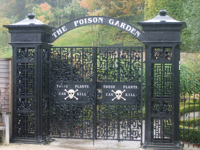 poison-garden-3 (700x525, 198Kb)