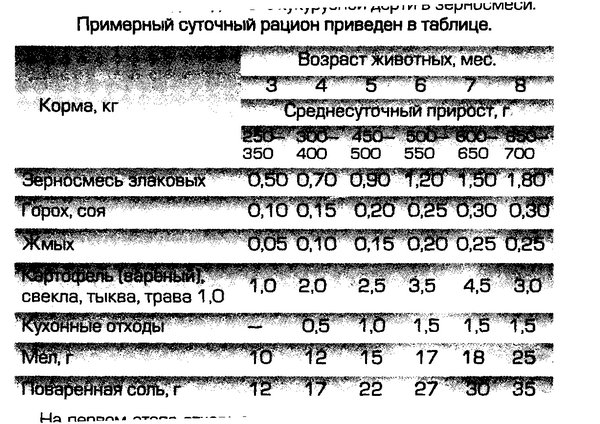 Спецификация на мясо свинины образец