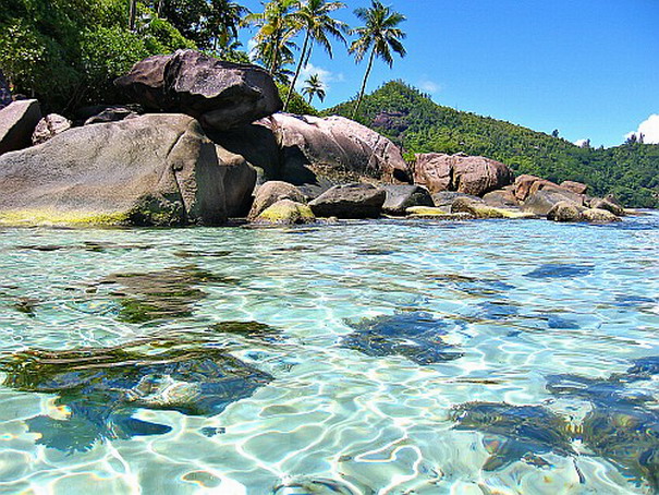 3623822_seychelles21 (605x454, 162Kb)