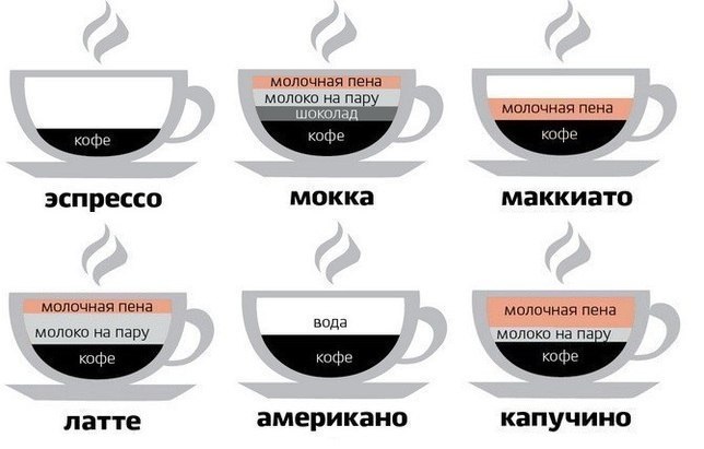 Что такое кофе капучино, из чего он состоит и как его приготовить в домашних условиях?
