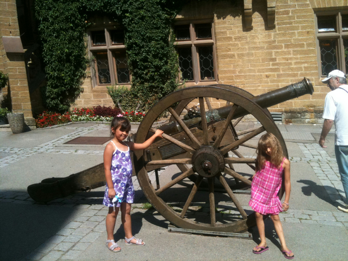 IMG_0092 (700x525, 468Kb)