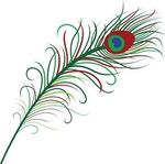  Peacock Feather Vector (350x348, 56Kb)