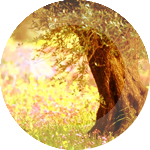  (150x150, 59Kb)