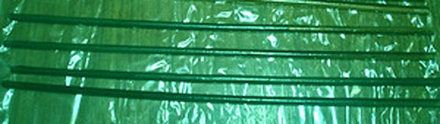 зеленая морилка (640x181, 22Kb)