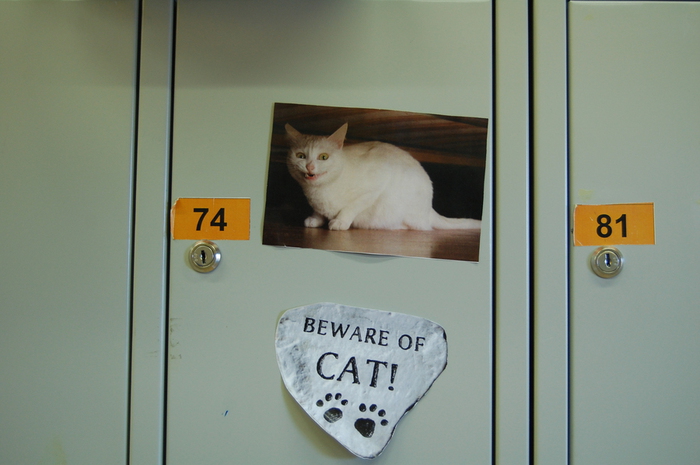 DSC_0546 (700x465, 174Kb)