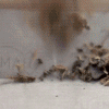 68580061_1293767536_tumblr_ldn9n4Slce1qcglh0o1_500 (100x100, 95Kb)