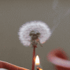 tumblr_m15o9clPWB1qc5cc5o1_400 (100x100, 96Kb)