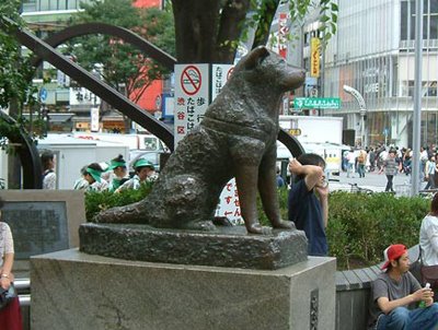 hachiko (400x302, 40Kb)