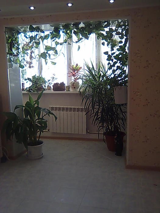 4826692_Foto0230 (525x700, 53Kb)