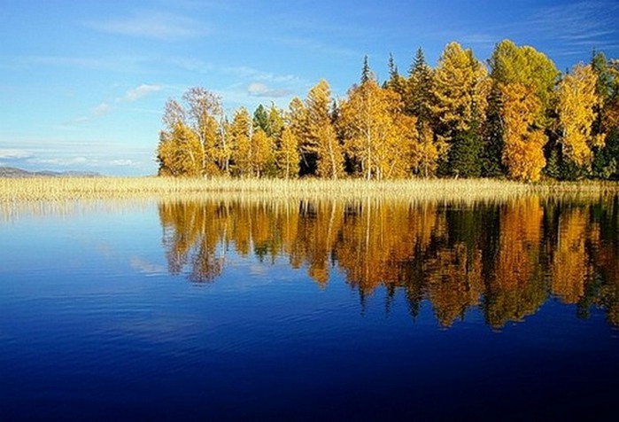 Заповедник азас картинки