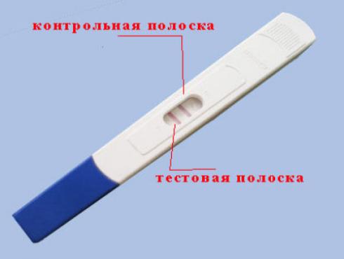  (490x370, 11Kb)