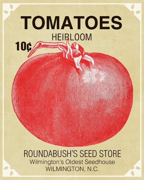 seeds-tomatoes (560x700, 357Kb)