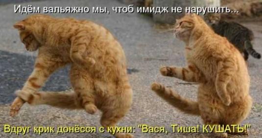 3 (535x283, 28Kb)