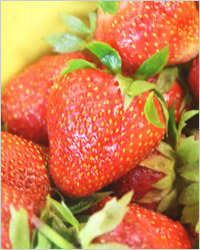 20100712-strawberry-03 (200x250, 27Kb)