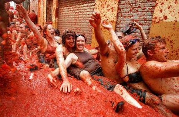 4649929_La_Tomatina (590x387, 69Kb)