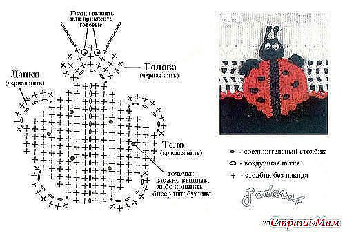 Божья коровка крючком схема