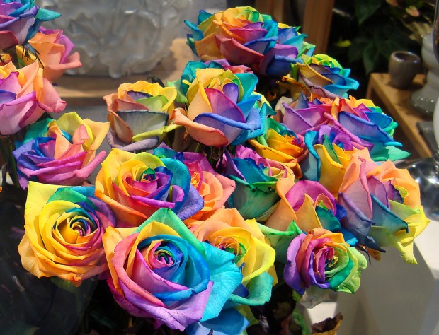 a-bunch-of-rainbow-roses-for-sale-by-Gertrud-K-620x474 (620x474, 110Kb)