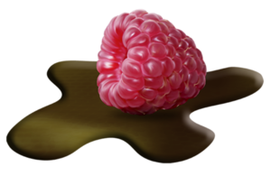 0_87dd8_ac26bb46_M (300x195, 48Kb)