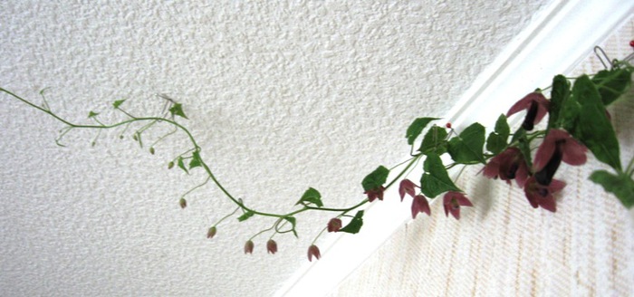 2 (700x328, 77Kb)