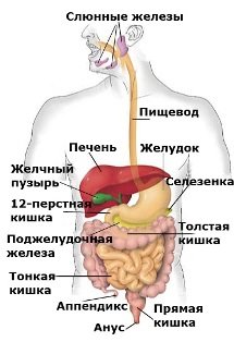 jelud_kishech_trakt (215x314, 18Kb)